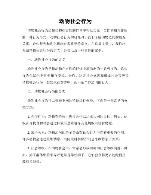动物社会行为