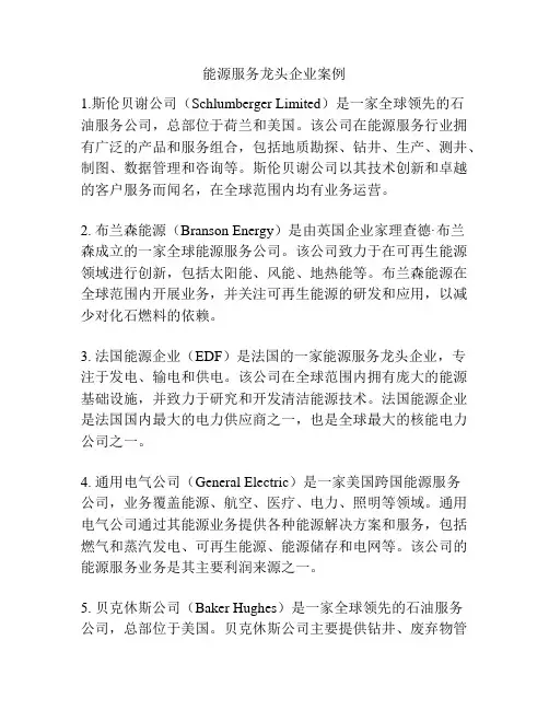 能源服务龙头企业案例