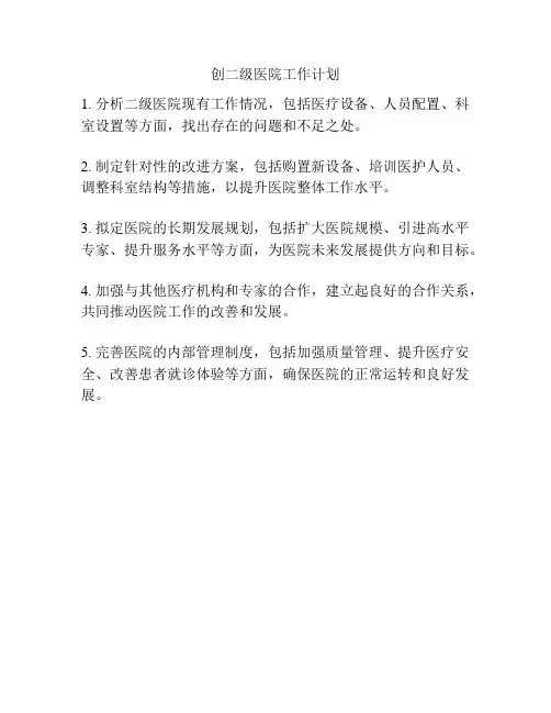 创二级医院工作计划