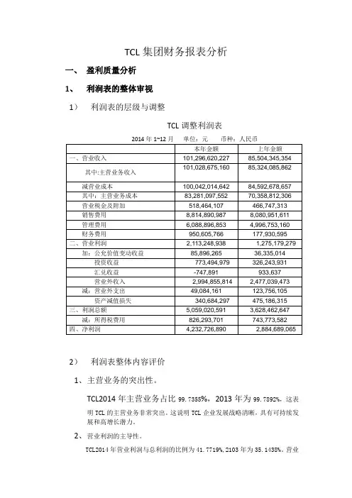 TCL集团财务报表分析doc资料