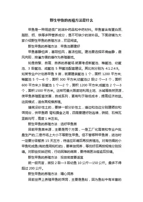 野生甲鱼的养殖方法是什么