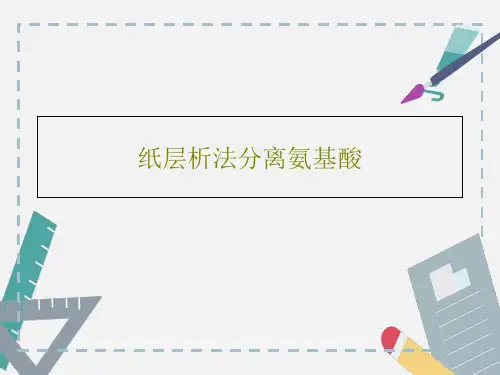 纸层析法分离氨基酸16页PPT
