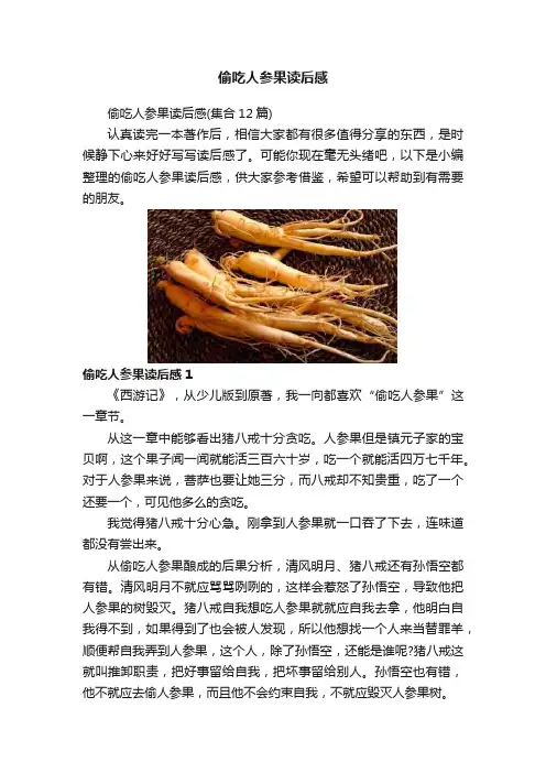 偷吃人参果读后感