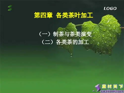 各类茶叶加工精品PPT课件