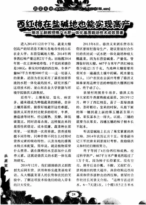 西红柿在盐碱地也能实现高产-骆洪义副教授推广水肥一体化基质栽