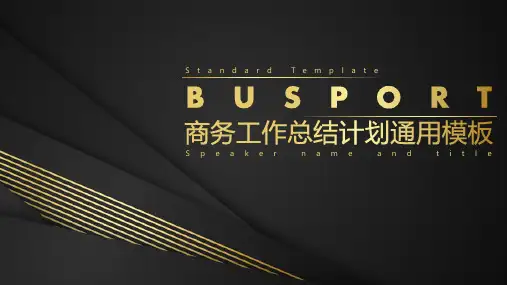 商务工作总结计划通用PPT模板
