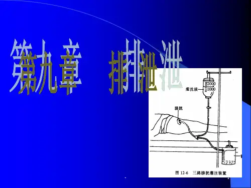 排泄护理ppt课件