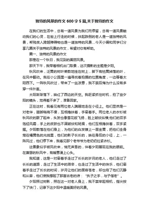 独特的风景的作文600字5篇,关于独特的作文