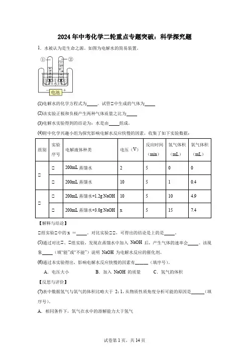 2024年中考化学二轮重点专题突破科学探究题