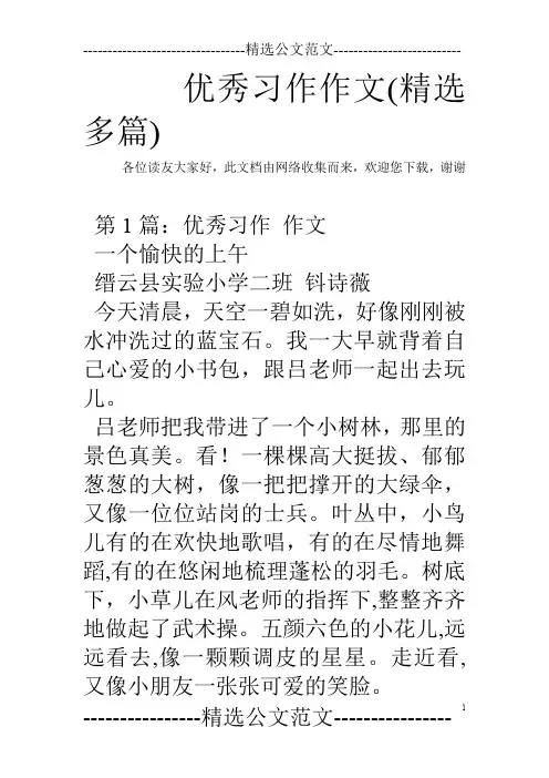 优秀习作作文(精选多篇)