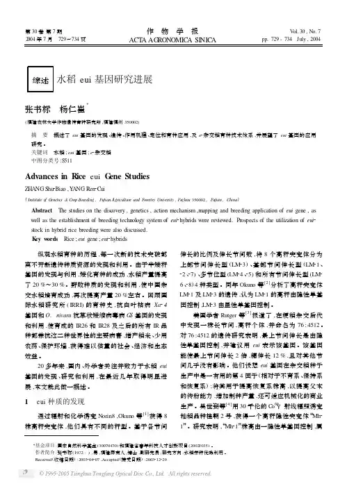 水稻eui基因研究进展
