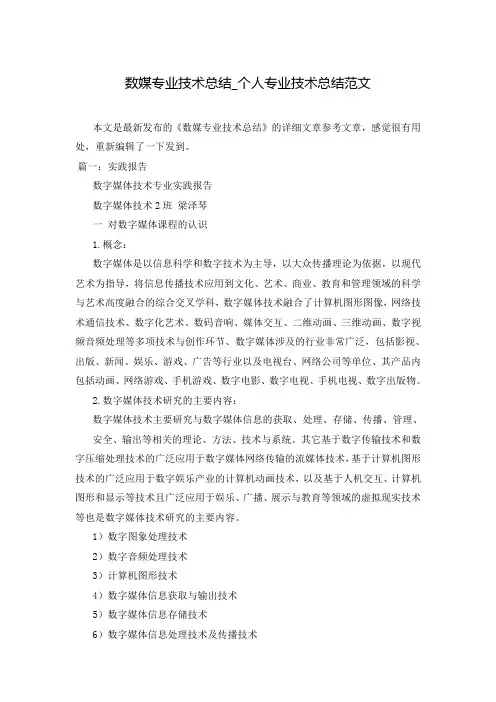 数媒专业技术总结_个人专业技术总结范文