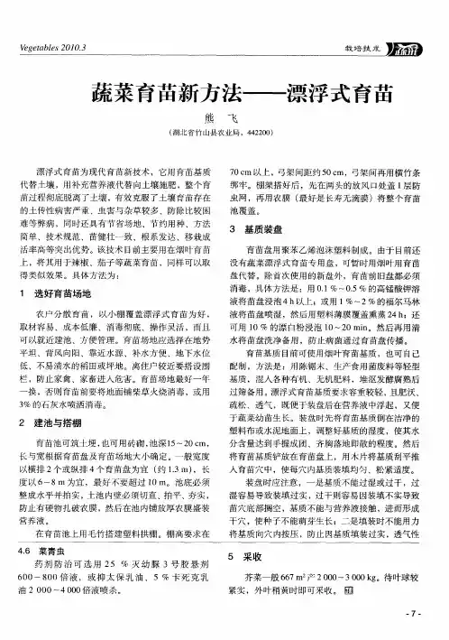 蔬菜育苗新方法——漂浮式育苗