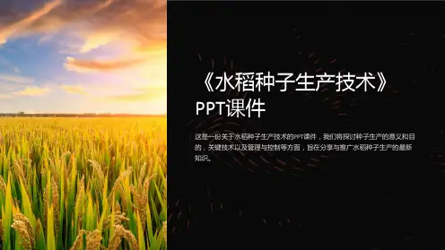 《水稻种子生产技术》课件