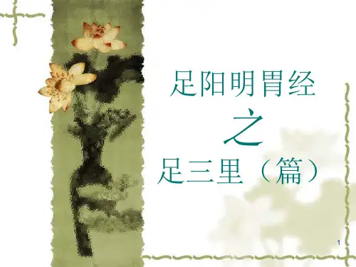 足阳明胃经PPT参考幻灯片