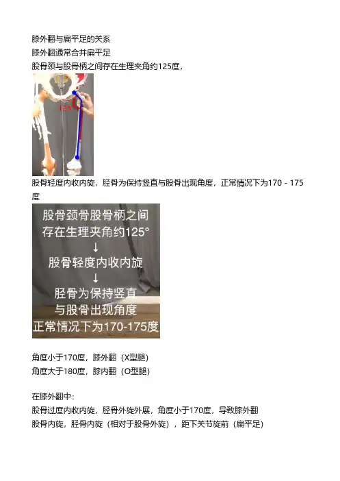 体态自我评估指南 (6)