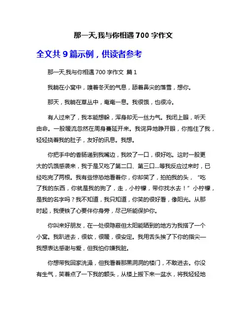 那一天,我与你相遇700字作文