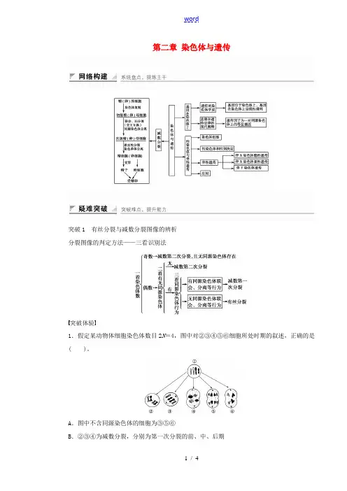 高中生物 第二章 染色体与遗传章末整合提升 浙科版必修2-浙科版高一必修2生物试题