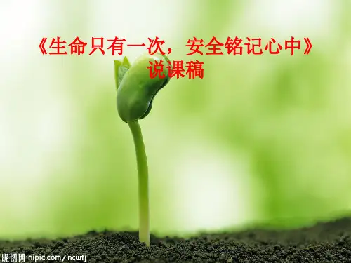 小学二年级安全教育主题班会ppt课件
