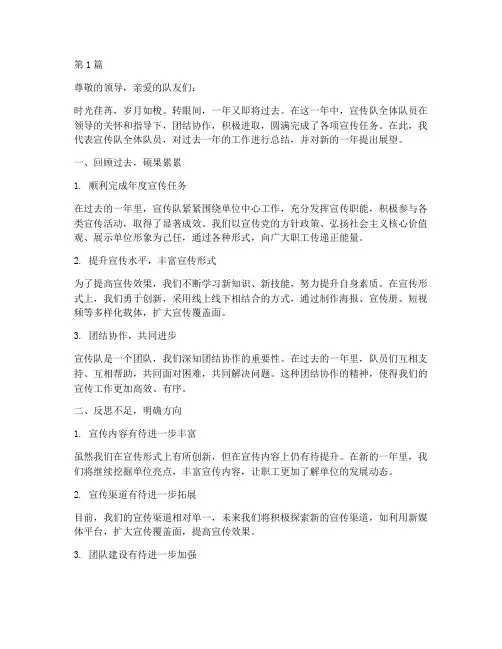 宣传队队员年度总结(3篇)