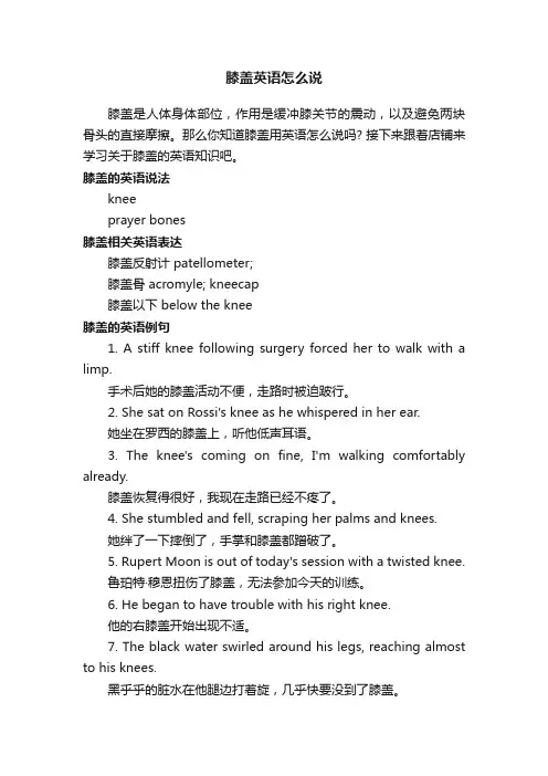 膝盖英语怎么说