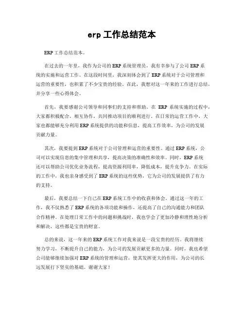 erp工作总结范本