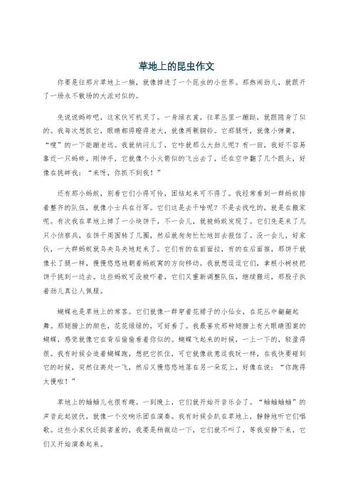 草地上的昆虫作文