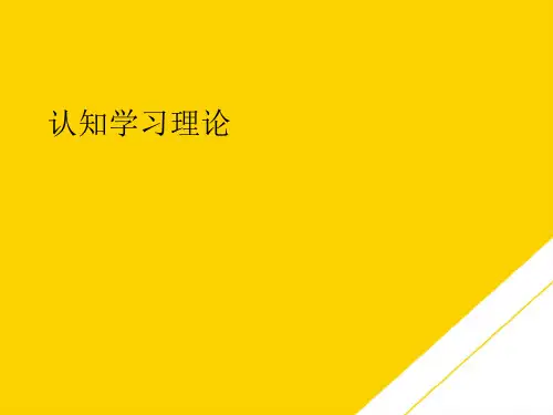 认知学习理论 (最全版)PTT文档