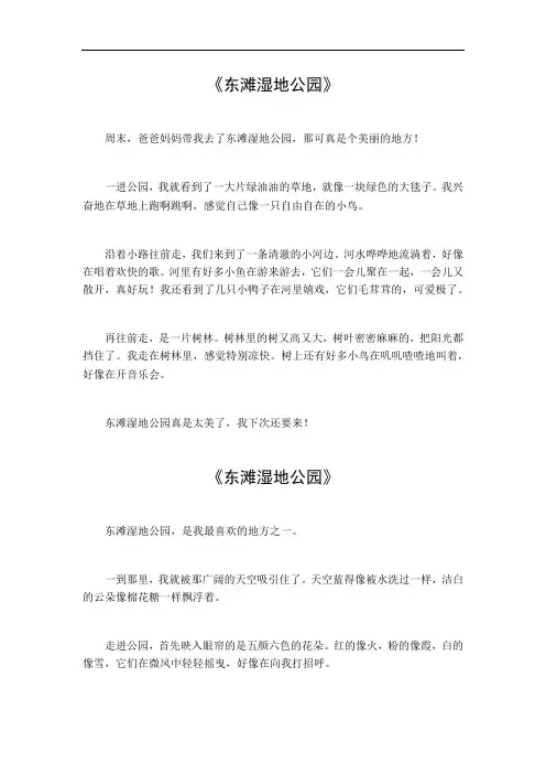 东滩湿地公园作文