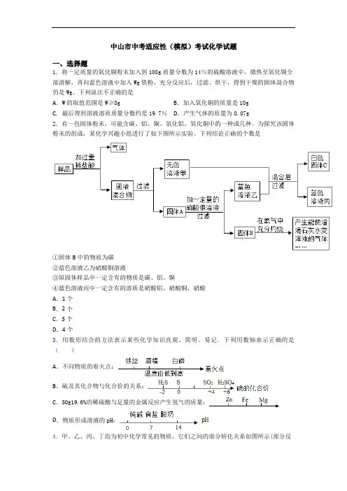 中山市中考适应性(模拟)考试化学试题