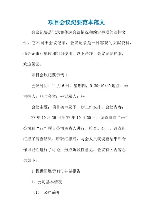 项目会议纪要范本范文