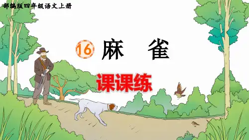 部编版四年级语文上册第16课《 麻雀》课后练习题(附答案)