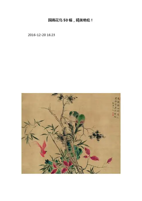 国画花鸟50幅，精美绝伦！