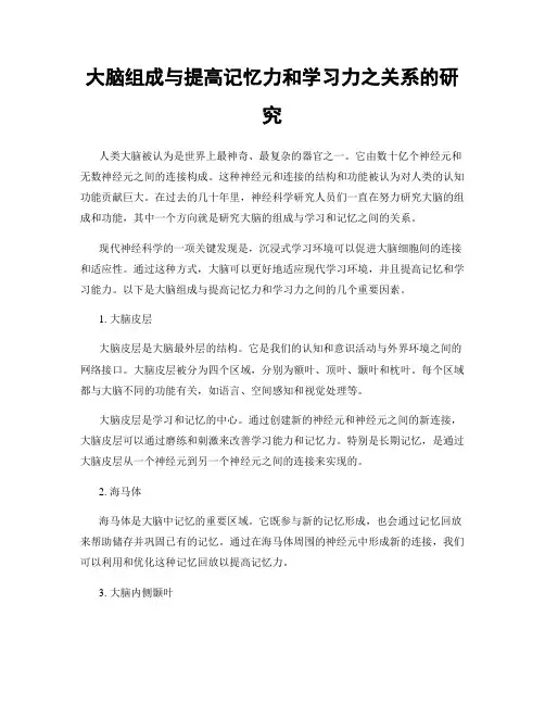 大脑组成与提高记忆力和学习力之关系的研究