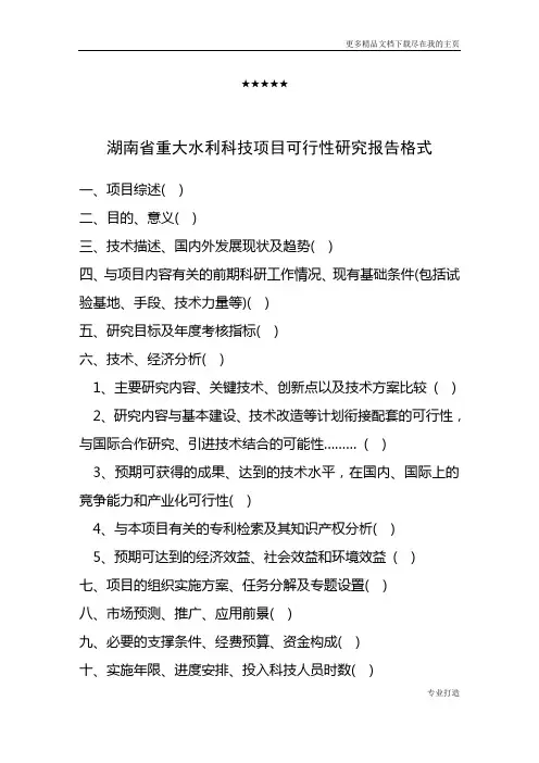 湖南省重大水利科技项目可行性研究报告格式
