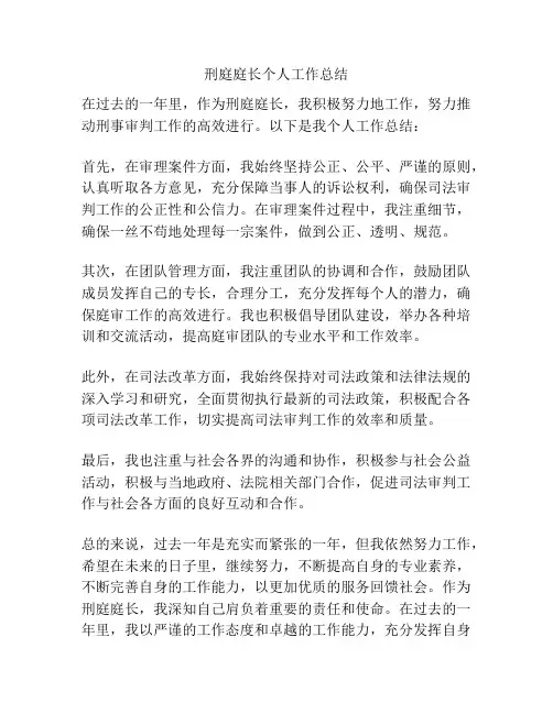 刑庭庭长个人工作总结