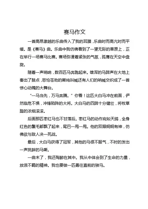 赛马作文100字