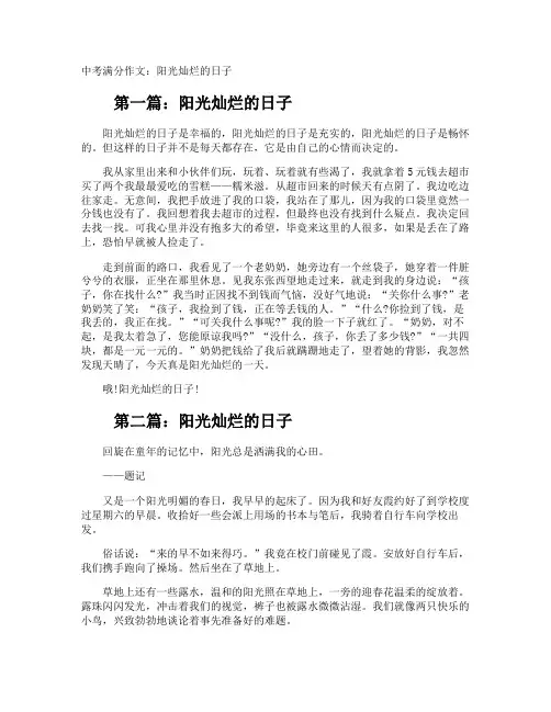 中考满分作文：阳光灿烂的日子