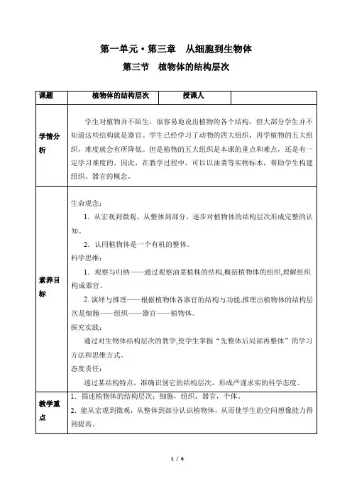 生物人教版2024版七年级上册1.3.3 植物体的结构层次 教学教案03