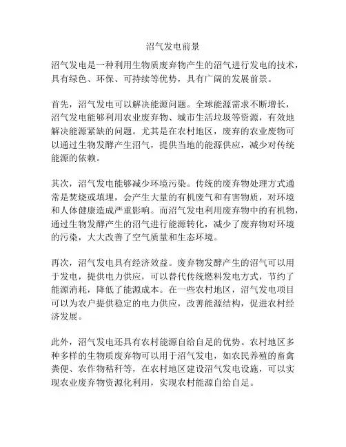 沼气发电前景