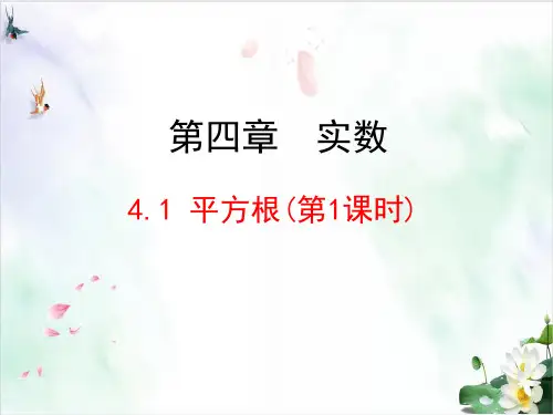 初中数学《平方根》演示课件北师大版3