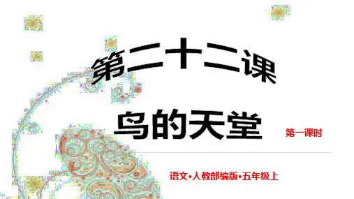 《鸟的天堂》PPT课件