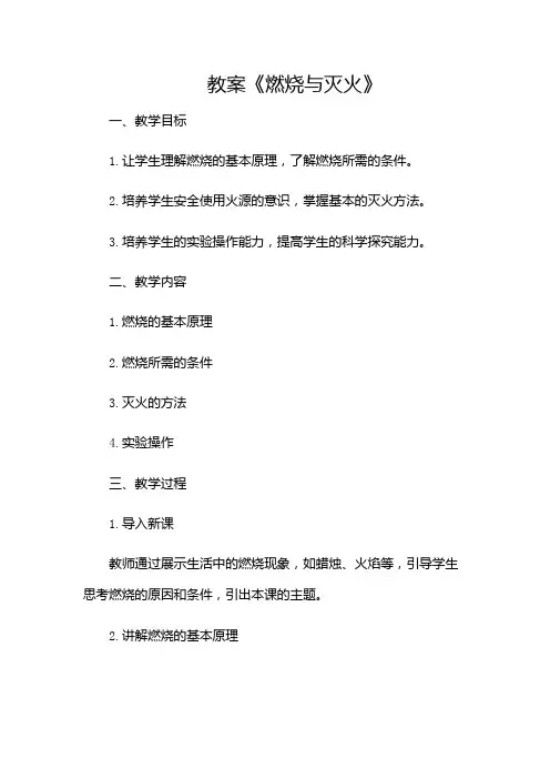 《燃烧与灭火》教案