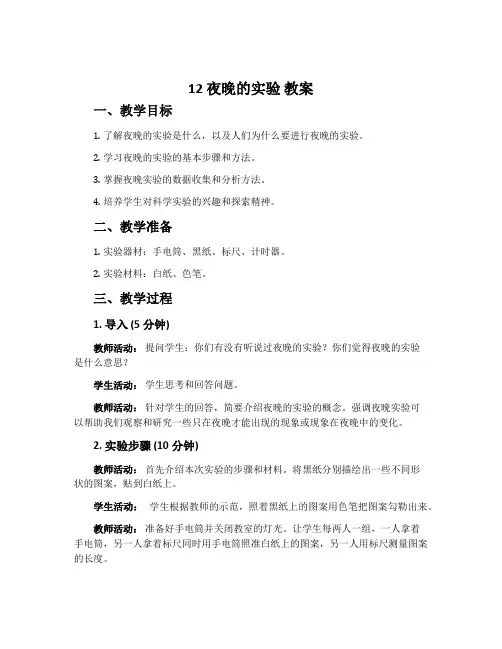 12 夜晚的实验 教案