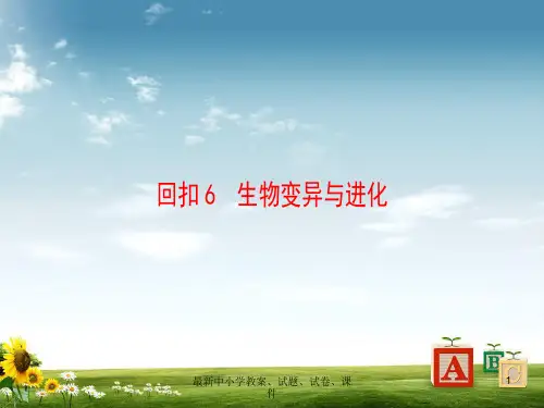 高考生物二轮复习 第3部分 回扣6 生物的变异与进化课件