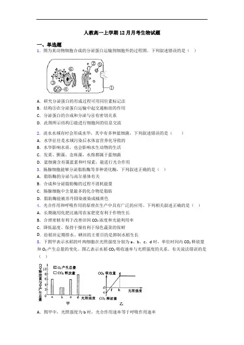 人教高一上学期12月月考生物试题