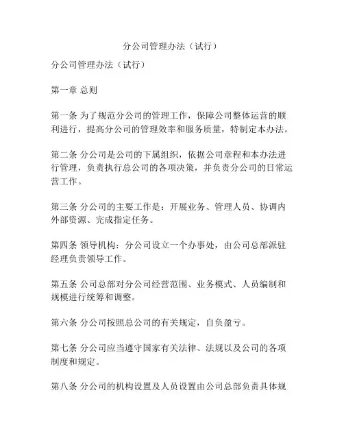 分公司管理办法(试行)