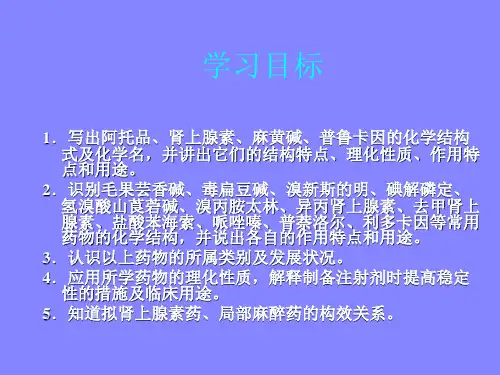 外周神经系药物课件