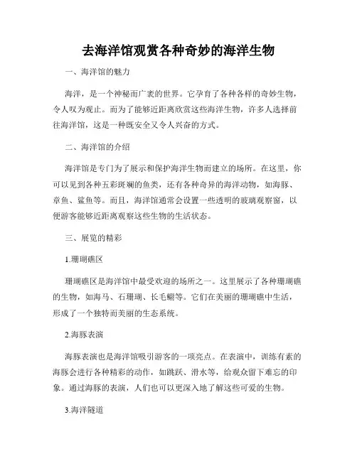 去海洋馆观赏各种奇妙的海洋生物