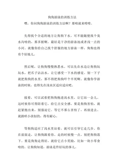 狗狗游泳的训练方法
